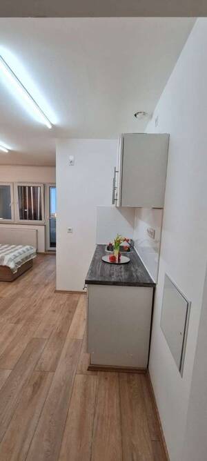 Luxuriöse Apartmentanlage mit 7 voll möblierten Einheiten in Pforzheim – 75172 Pforzheim – Vorschaubild 5