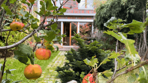 2in1 - Townhouse mit separatem Apartment an der Rummelsburger Bucht – 10317 Berlin – Vorschaubild 1