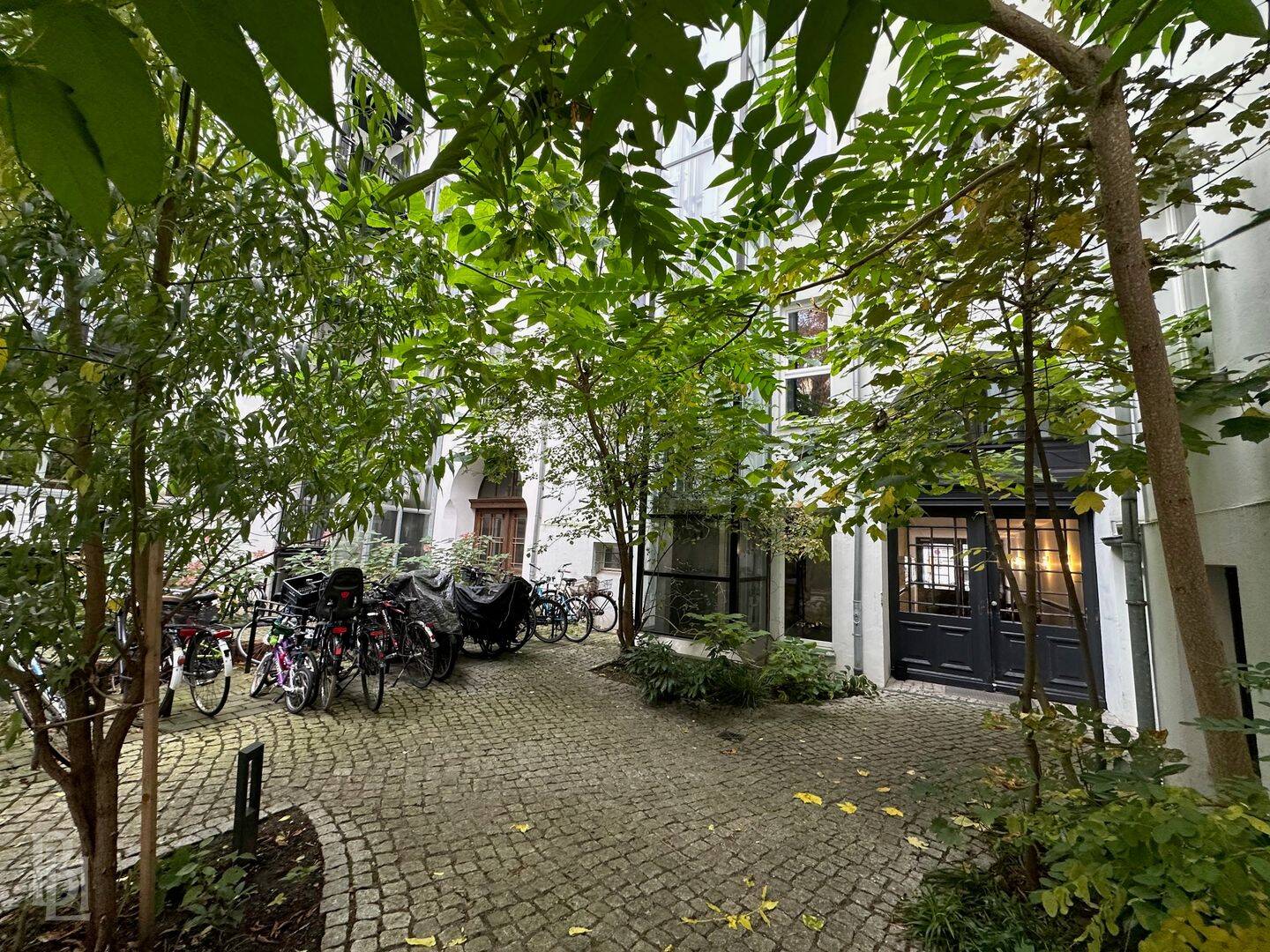 Preis gesenkt, Lage unbezahlbar: Altbau-Kapitalanlage am Weinbergspark – Berlin – Vorschaubild 3