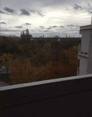 Schöner Zweizimmerwohnung näher Olympiapark – 80637 München – Vorschaubild 1