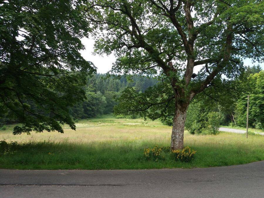 Provisionsfrei* Sonderimmobilie in Alleinlage im Thüringer Wald – Oberhof – Vorschaubild 4