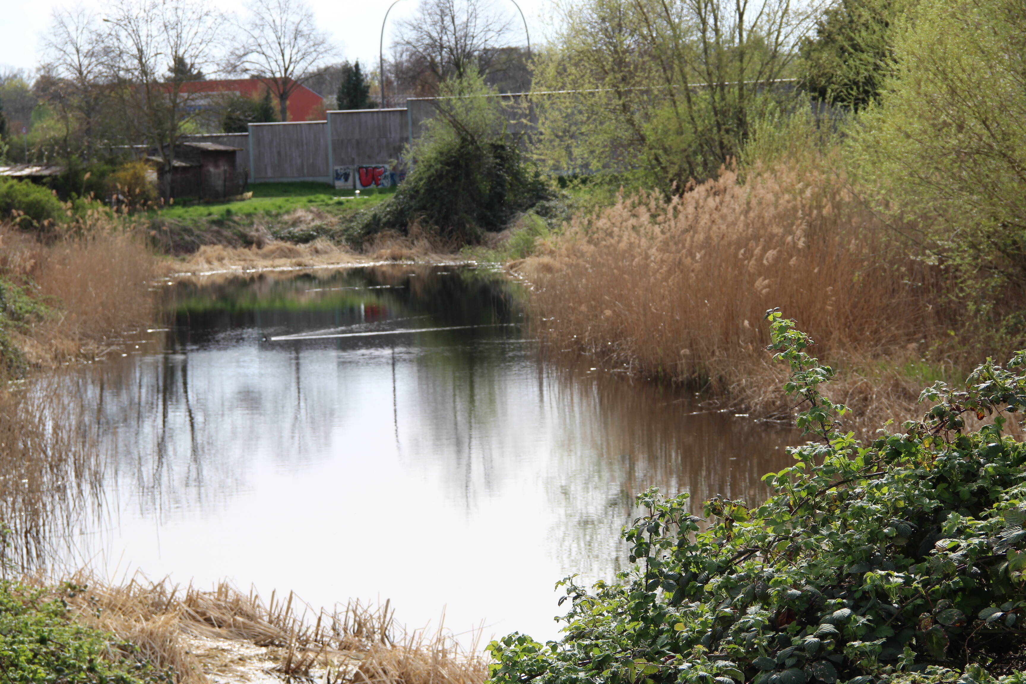 Exklusive Luxusvilla mit Schwimmbad und Einliegerwohnung in top Lage !!! – Rüsselsheim am Main – Vorschaubild 3