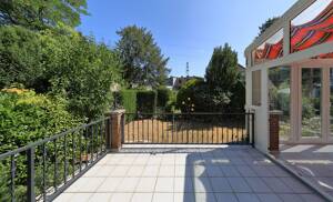 Suche neue Familie! – 51109 Köln – Vorschaubild 9