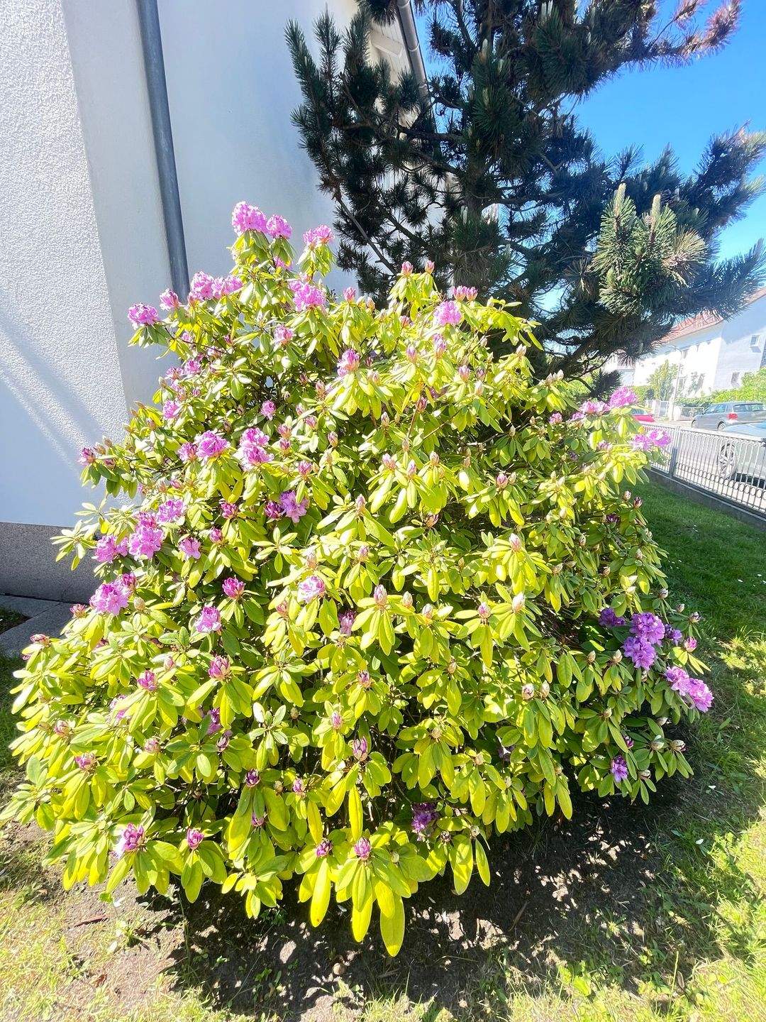 SOFORT FREI: Genießen Sie den Sommer in Ihrem neuen großen Garten in Mögeldorf – Nürnberg – Vorschaubild 2