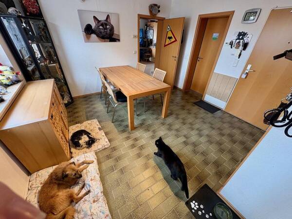 Erdgeschosswohnung in 51373 Leverkusen mit 140 m² kaufen