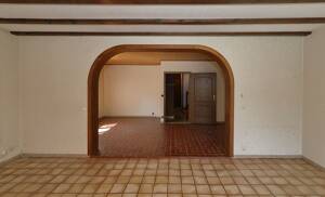 Suche neue Familie! – 51109 Köln – Vorschaubild 8
