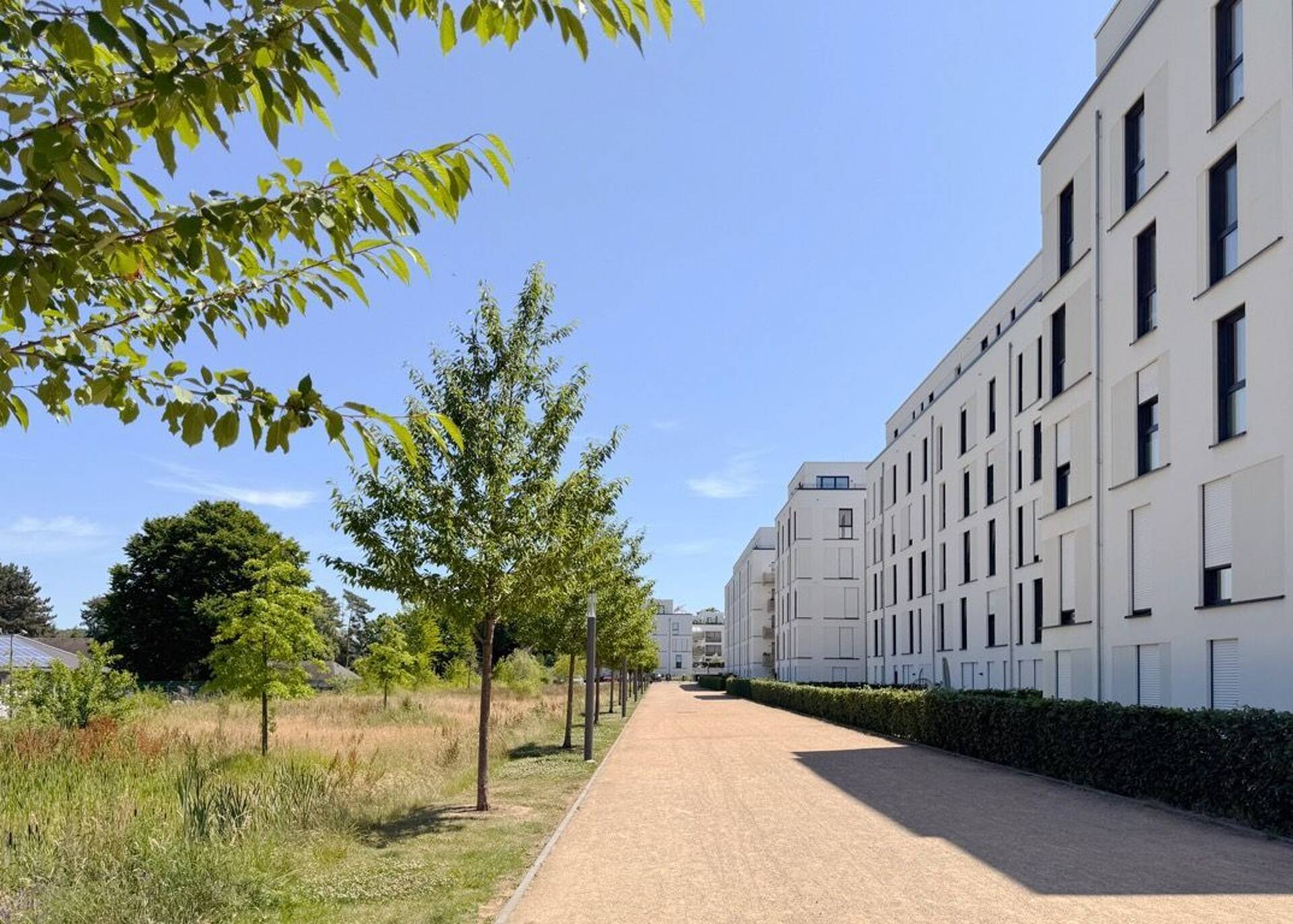 Rohdachboden in 53123 Bonn mit 84 m² kaufen
