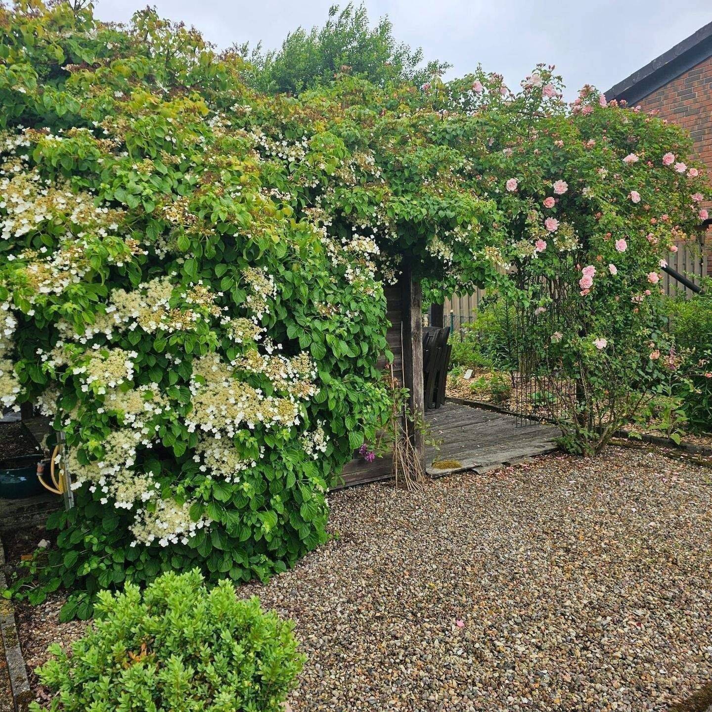 Einziehen & Aufatmen: Moderner Bungalow-Traum mit Solarkraft & Gartenidyll – Zernien – Vorschaubild 5