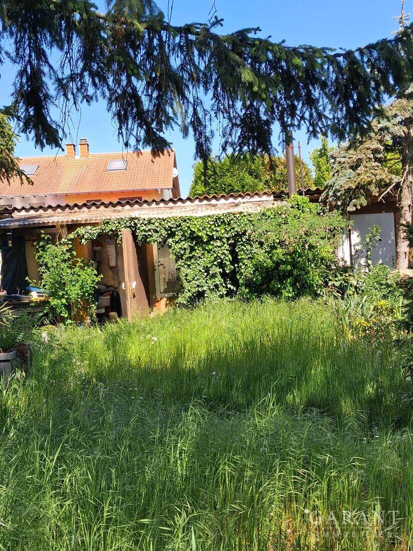 Zweifamilienhaus in Haßloch, viel Raum für Ihre Wohnideen – Haßloch – Vorschaubild 4