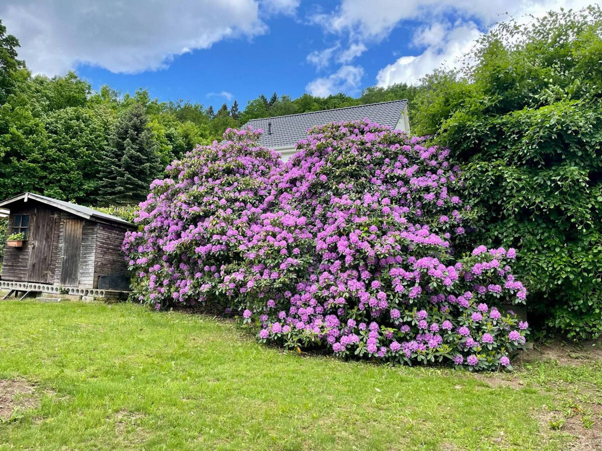 Haus in 08280 Aue-Bad Schlema mit 125 m² kaufen