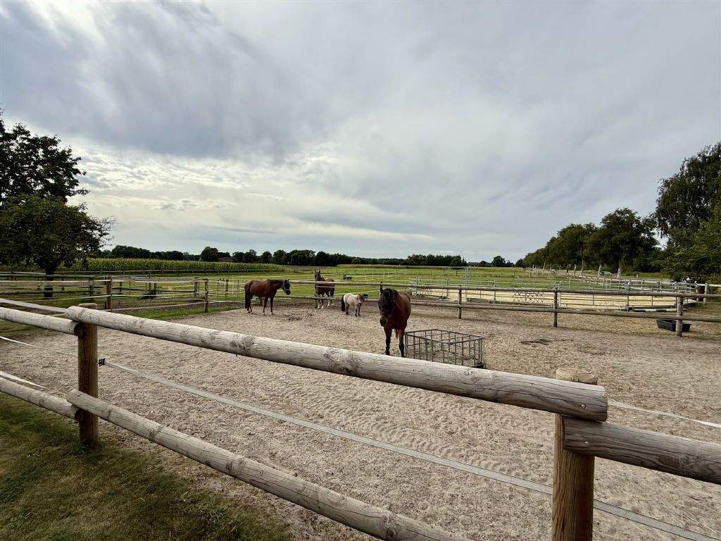 Landliebe trifft Luxus! Großflächige Hofanlage mit kernsaniertem Wohngebäude – Ahaus – Vorschaubild 7