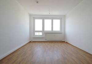 **Familienwohnung nähe des Neustädter See**
