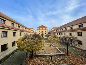 Erstbezug nach Renovierung - Gemütliche Einraumwohnung in Altpieschen ab November zur Miete!