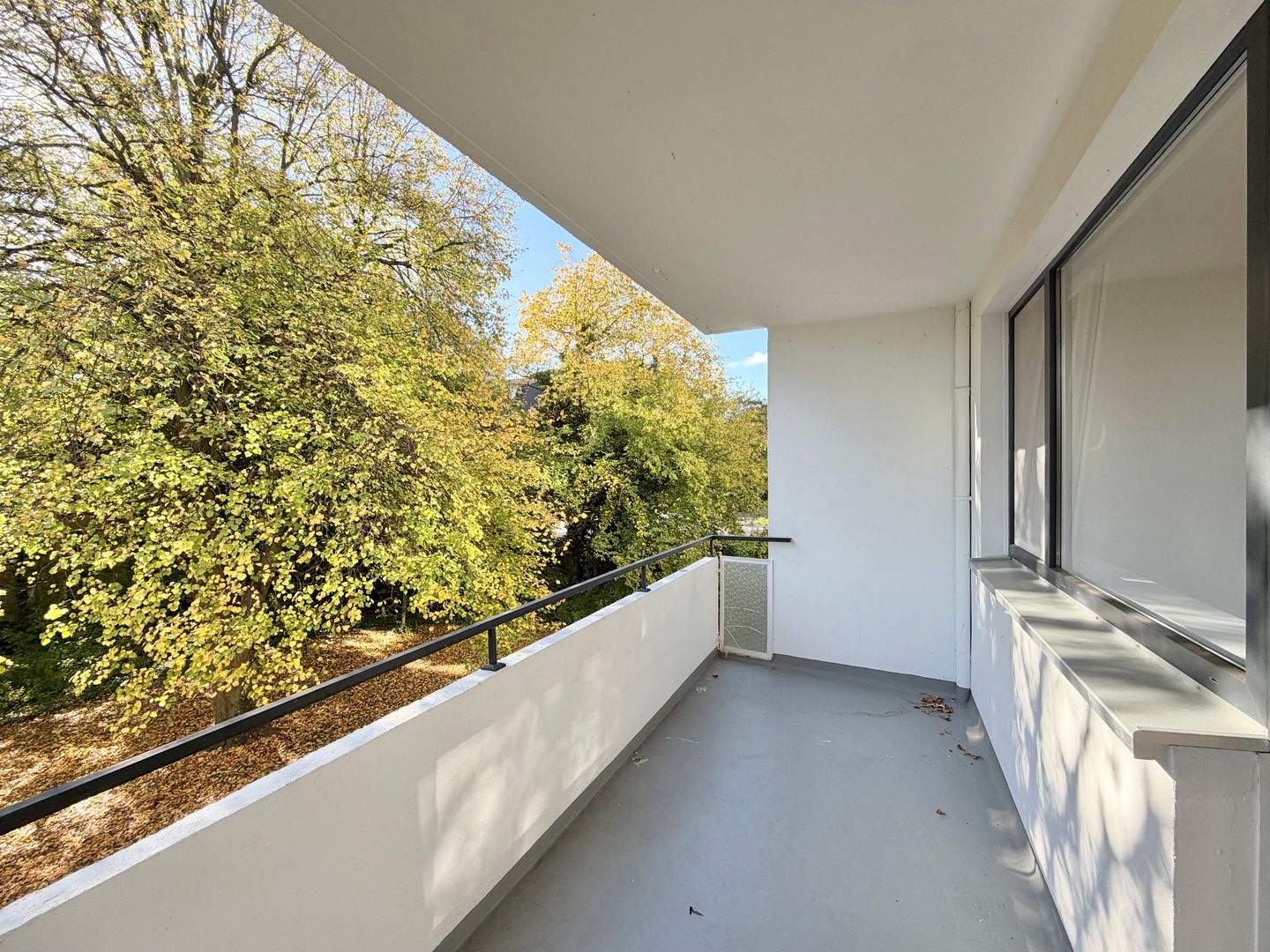 Helle + großzügige 2-Zimmer-Wohnung mit sonnigem Balkon in ruhiger & zentrumsnaher Lage – Hannover – Vorschaubild 2