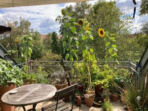 Lichtdurchflutete Maisonette mit Charme & Dachterrasse - sofort frei!