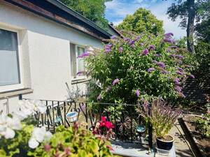 Freistehendes Einfamilienhaus mit vielen Möglichkeiten in ruhiger Lage von Berlin! – 12623 Berlin – Vorschaubild 4