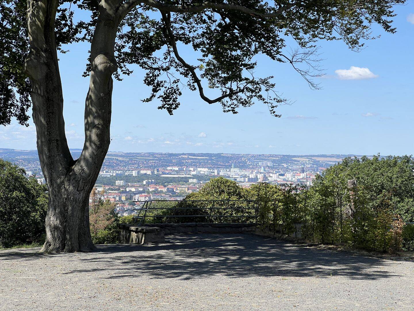 Einzigartiges Wohnerlebnis in Dresden-Loschwitz – Dresden – Vorschaubild 3