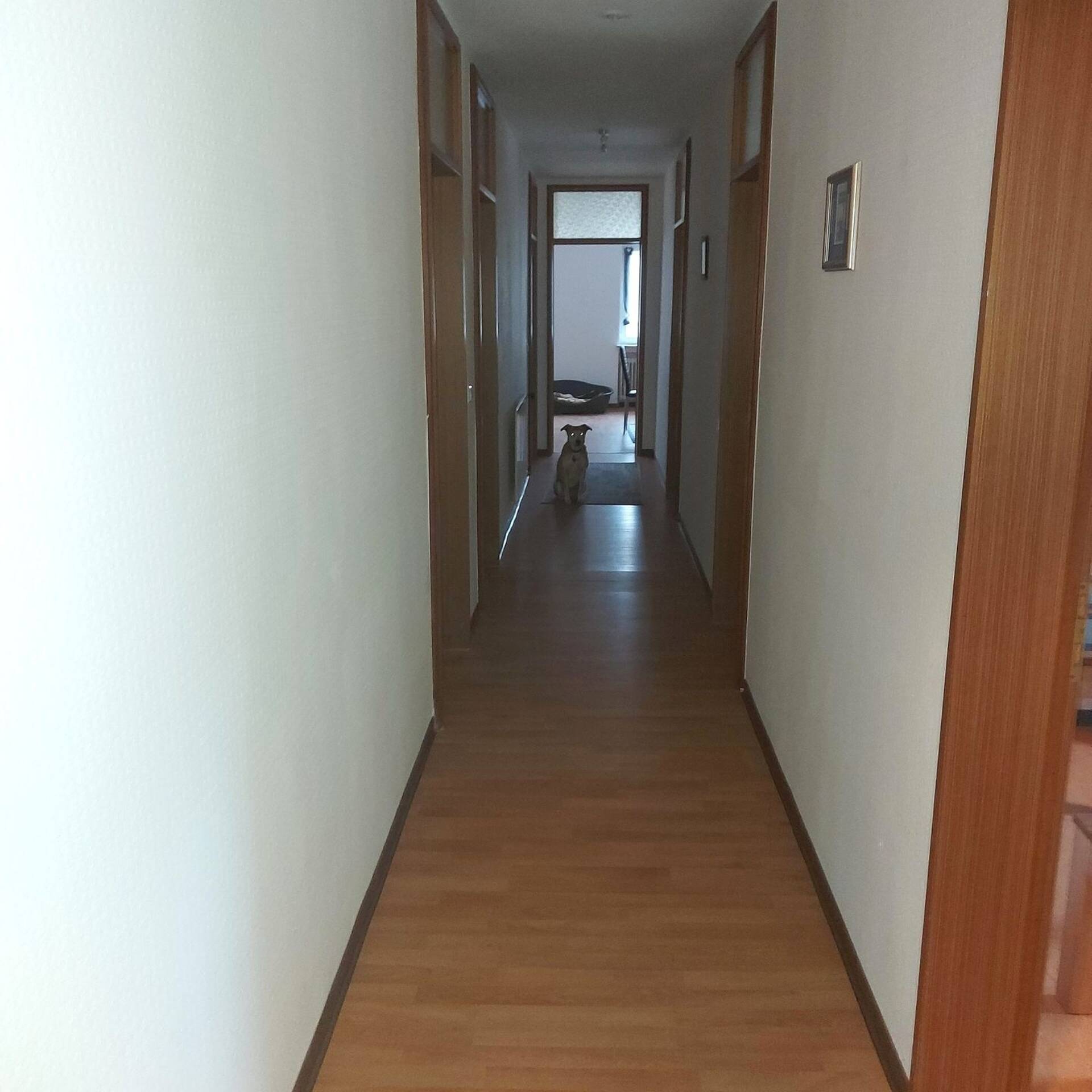 Haus in 67826 Hallgarten kaufen