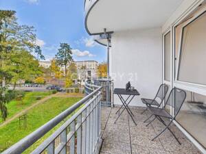 Zwischen Orangerie und City – 64285 Darmstadt – Vorschaubild 8