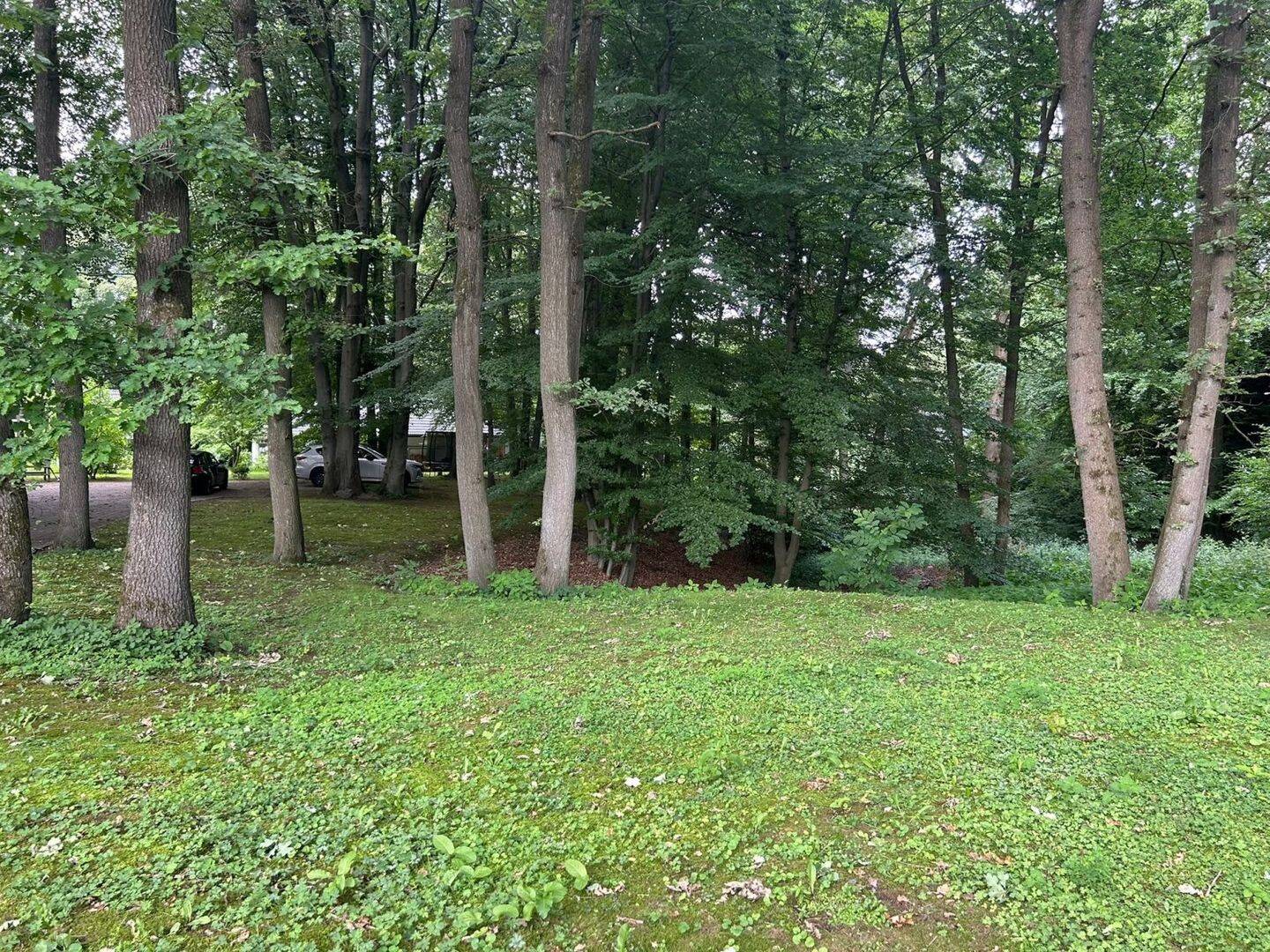 Ein Zuhause zum Durchatmen - idyllisch im Wald, nur 20 Minuten von Hamburg! – Seevetal – Vorschaubild 5