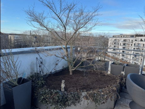 Lichtdurchflutete echte Penthousewohnung mit Panoramablick – Nürnberg – Vorschaubild 5