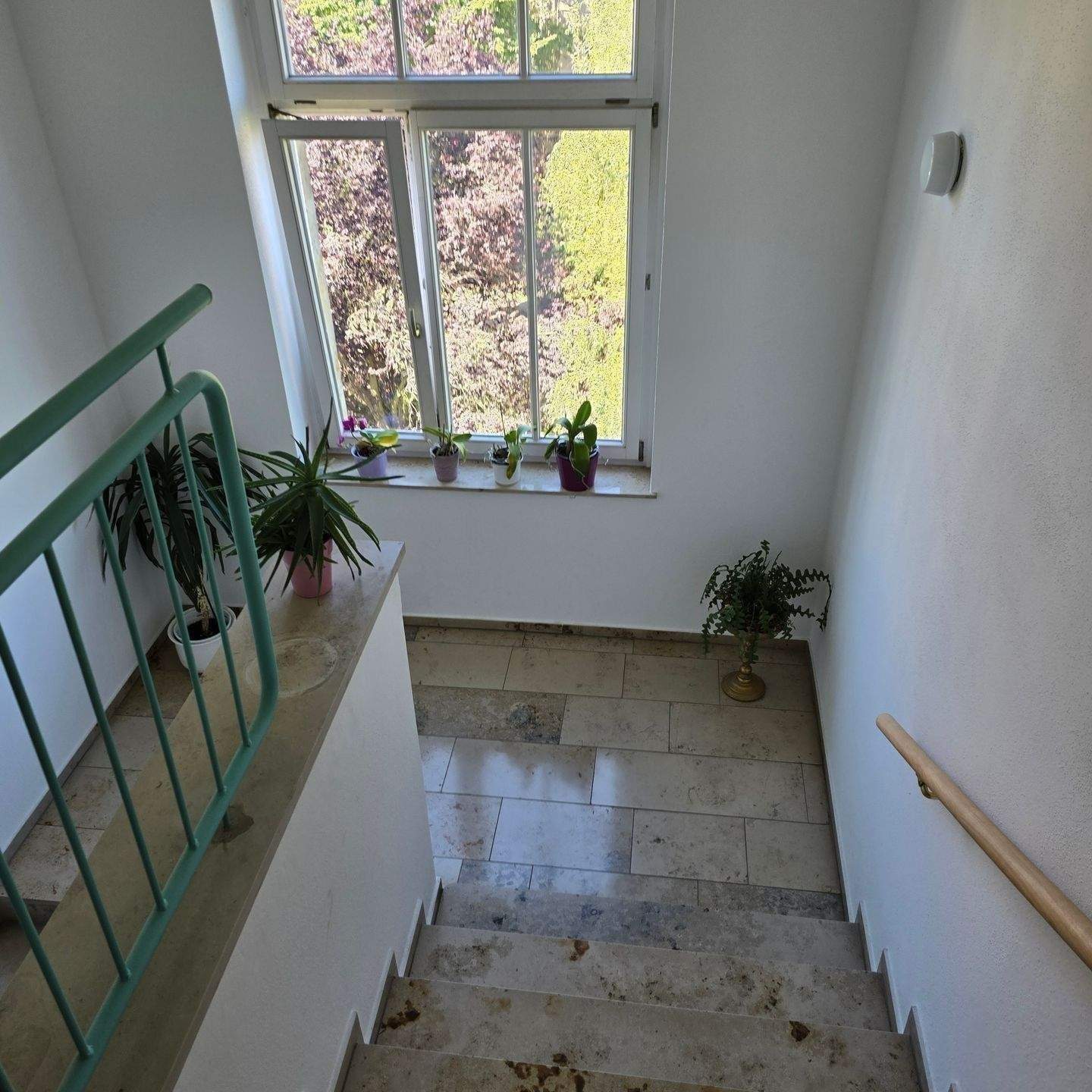 Freie gemütliche sonn. 2,5 DG-Mais.-Wohnung mit mod. EBK + Stellplatz in ruhiger Lage v. Dresden-Löbtau – Dresden – Vorschaubild 6
