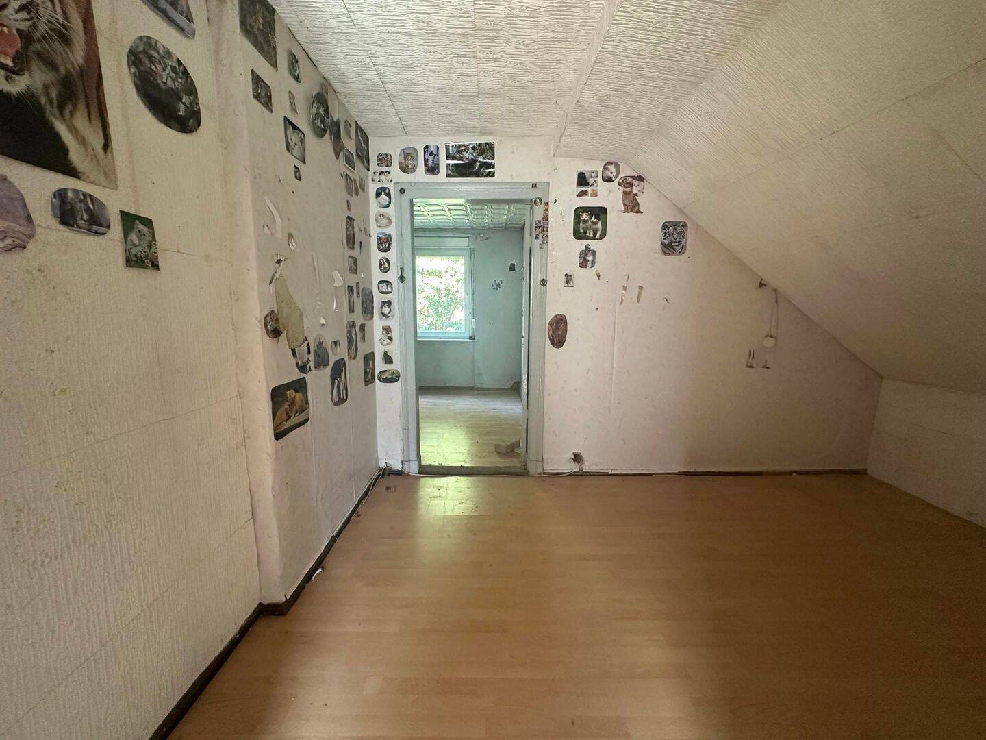 Großzügiges Grundstück trifft auf vielseitige Gestaltungsmöglichkeiten – Trebbin – Vorschaubild 7