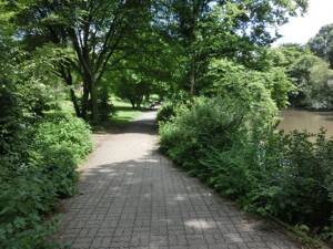 Barmbek-Süd - vermietete Wohnung zur Kapitalanlage (WE08) – 22081 Hamburg – Vorschaubild 5