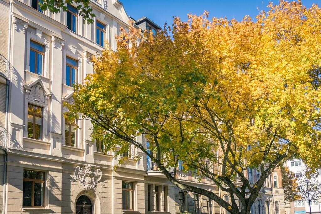 Großzügige 3-Raum-Erdgeschosswohnung mit Balkon – Chemnitz – Vorschaubild 6