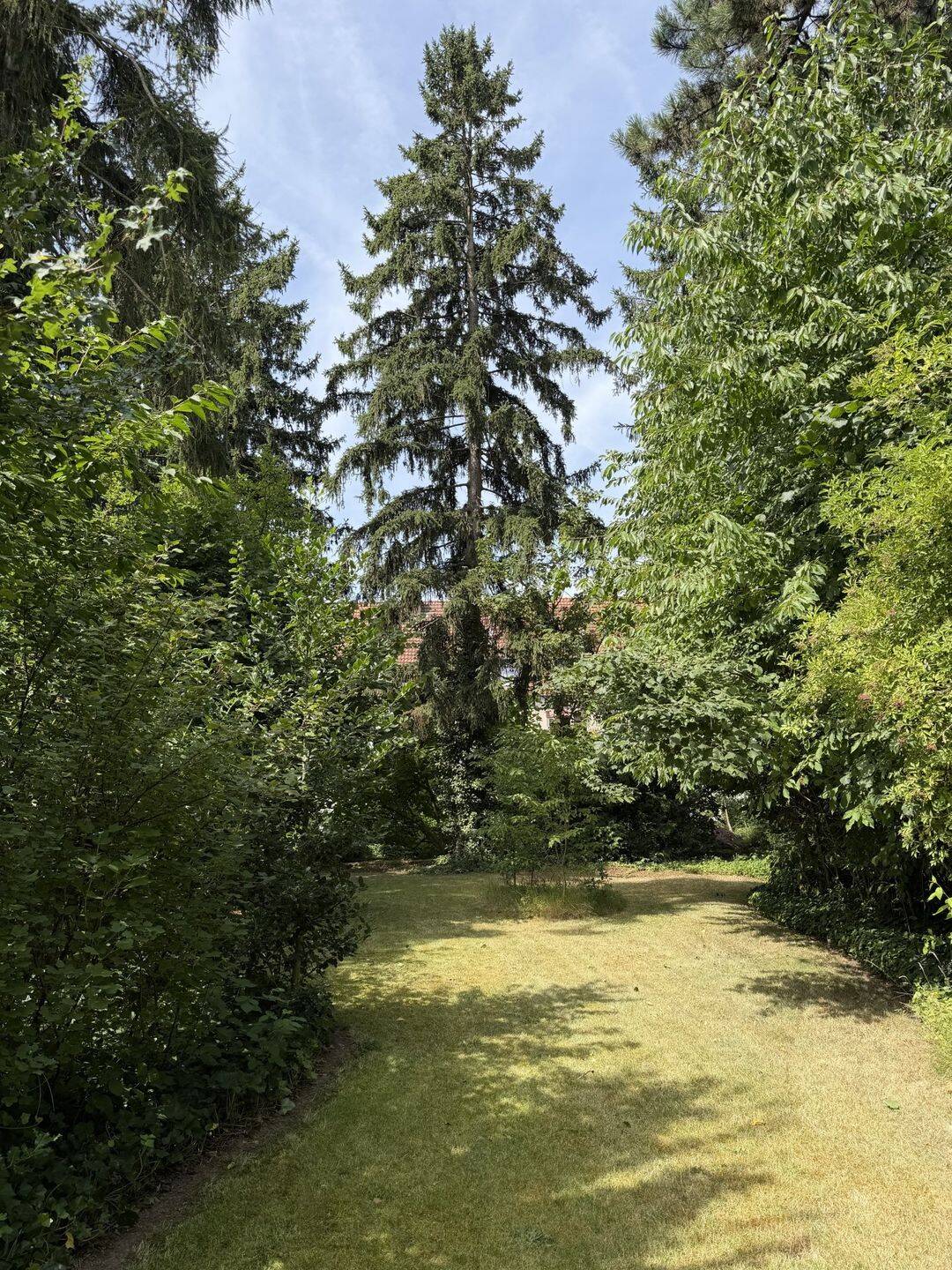 Düsseldorf-Bilk! Zwei gepflegte Mehrfamilienhäuser auf großzügigem Grundstück! – Düsseldorf – Vorschaubild 7