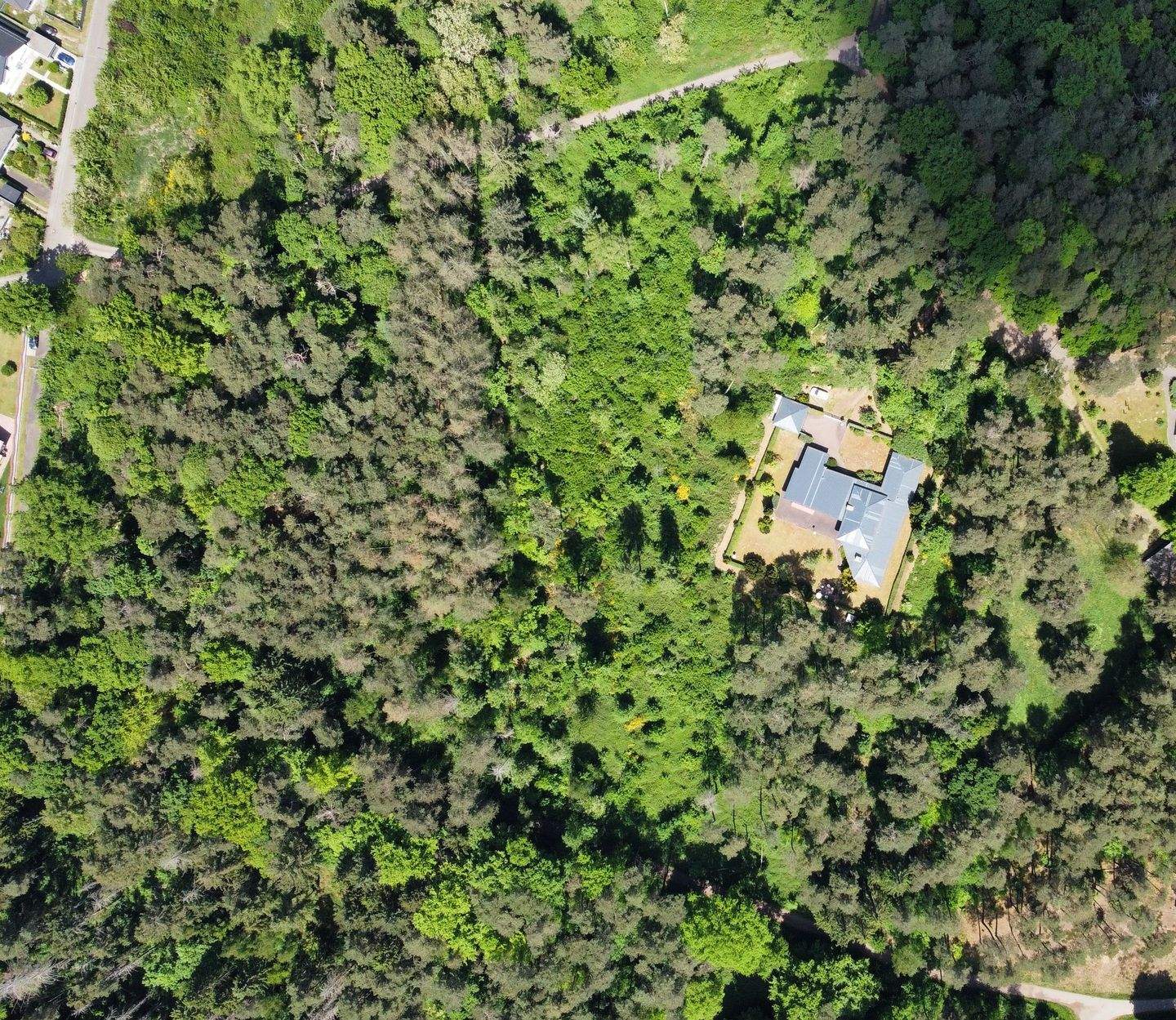 Exklusiver Bungalow in einmaliger, sehr besonderer Alleinlage! – Kirkel – Vorschaubild 3