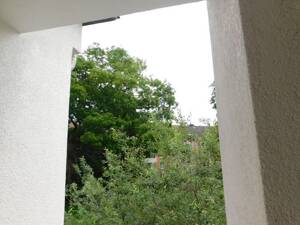 2,5-Zimmer Wohnung mit Loggia, voll renoviert! – 45143 Essen – Vorschaubild 3