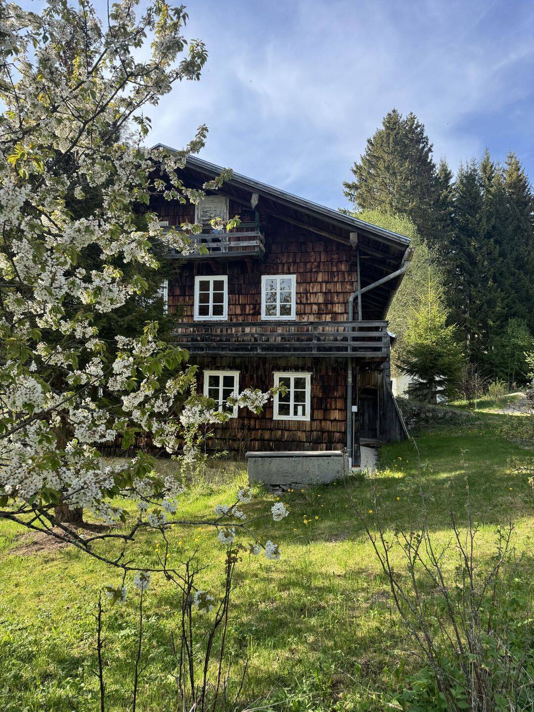 Rohdiamant in Alleinlage · Bauernhaus mit großem Grundstück am Nationalpark Bayerischer Wald – Mauth – Vorschaubild 2