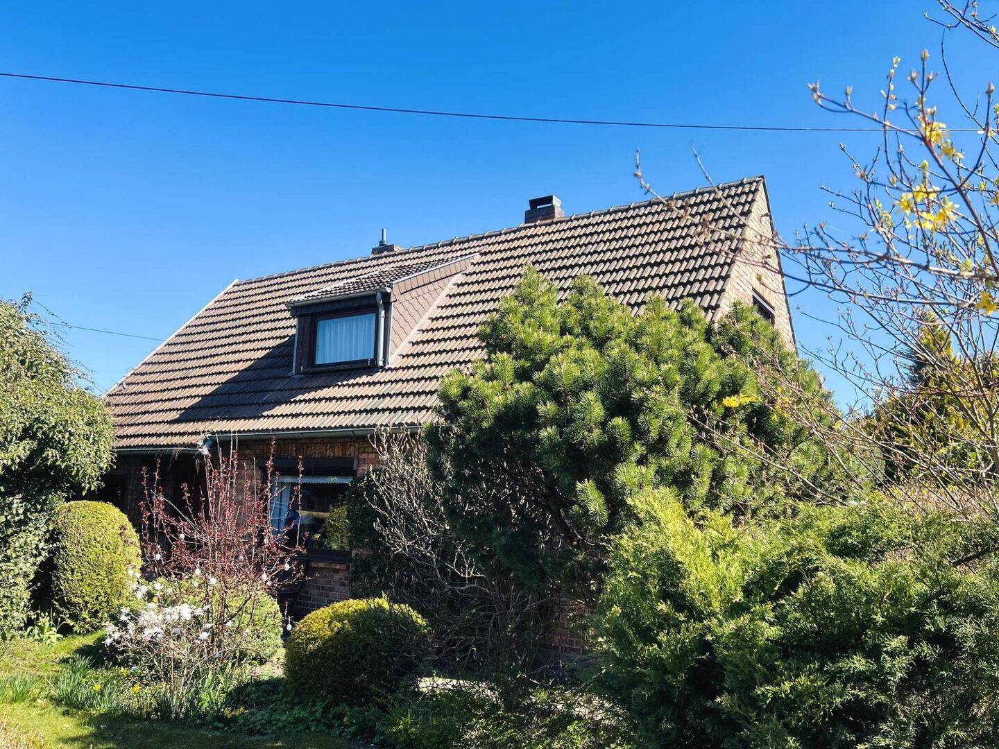 freistehendes Wohnhaus, 5 Zimmer, Garage, sonniges Grundstück in Rostock [Dierkow-Ost] – Rostock – Vorschaubild 9