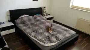 Wohnung Hochpaterre – 54294 Trier – Vorschaubild 5