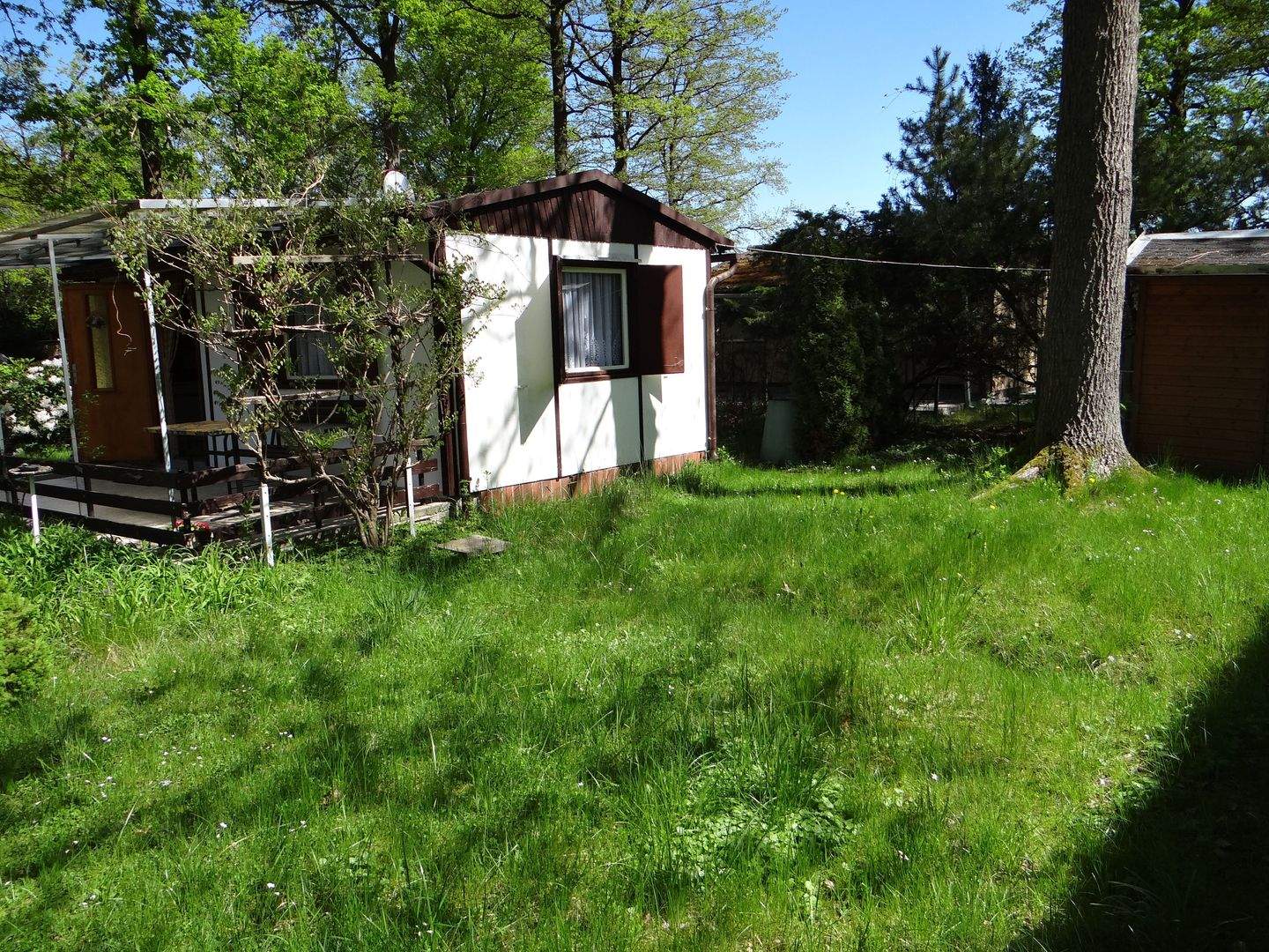 Ihr Ferienbungalow im Wald, ruhig, grün am Stausee Quitzdorf – Quitzdorf am See – Vorschaubild 3