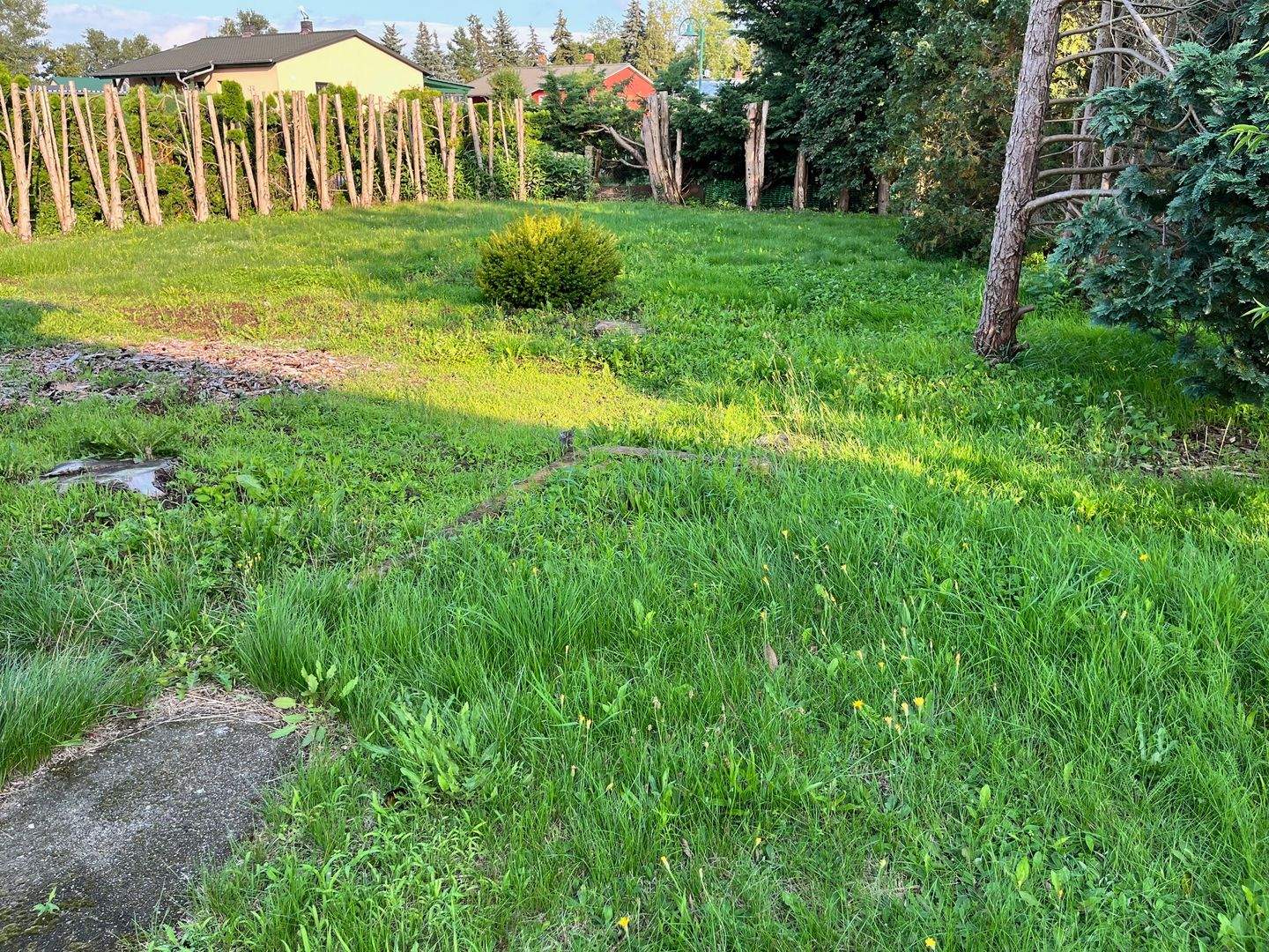Haus mit Potenzial & große Nebengebäude – Märkische Heide – Vorschaubild 4