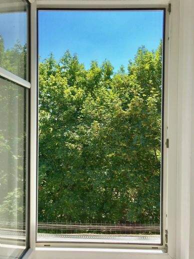 Gemütliche 3-Raum-Wohnung über 2 Etagen im Dachgeschoss – Erfurt – Vorschaubild 9