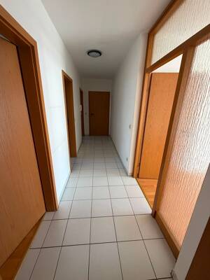 2 Zimmer Wohnung Ludwigshafen Friesenheim ab sofort bezugsfrei – 67063 Ludwigshafen am Rhein – Vorschaubild 5