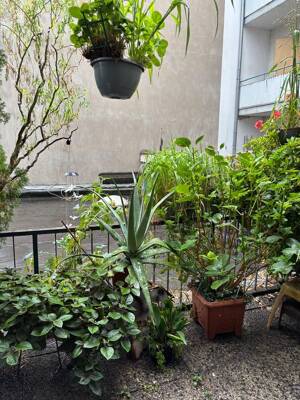 Gut geschnittene 3 Zimmer mit Balkon – 47058 Duisburg – Vorschaubild 9
