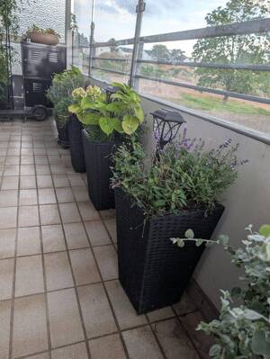 4-Zimmer-Wohnung mit Balkon und Garage in Trier-Kürenz – 54296 Trier – Vorschaubild 6