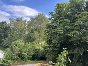 Doppelhaushälfte in Fahrland - Sanierungsobjekt mit viel Potenzial für Ihre Wünsche – 14476 Potsdam – Vorschaubild 6