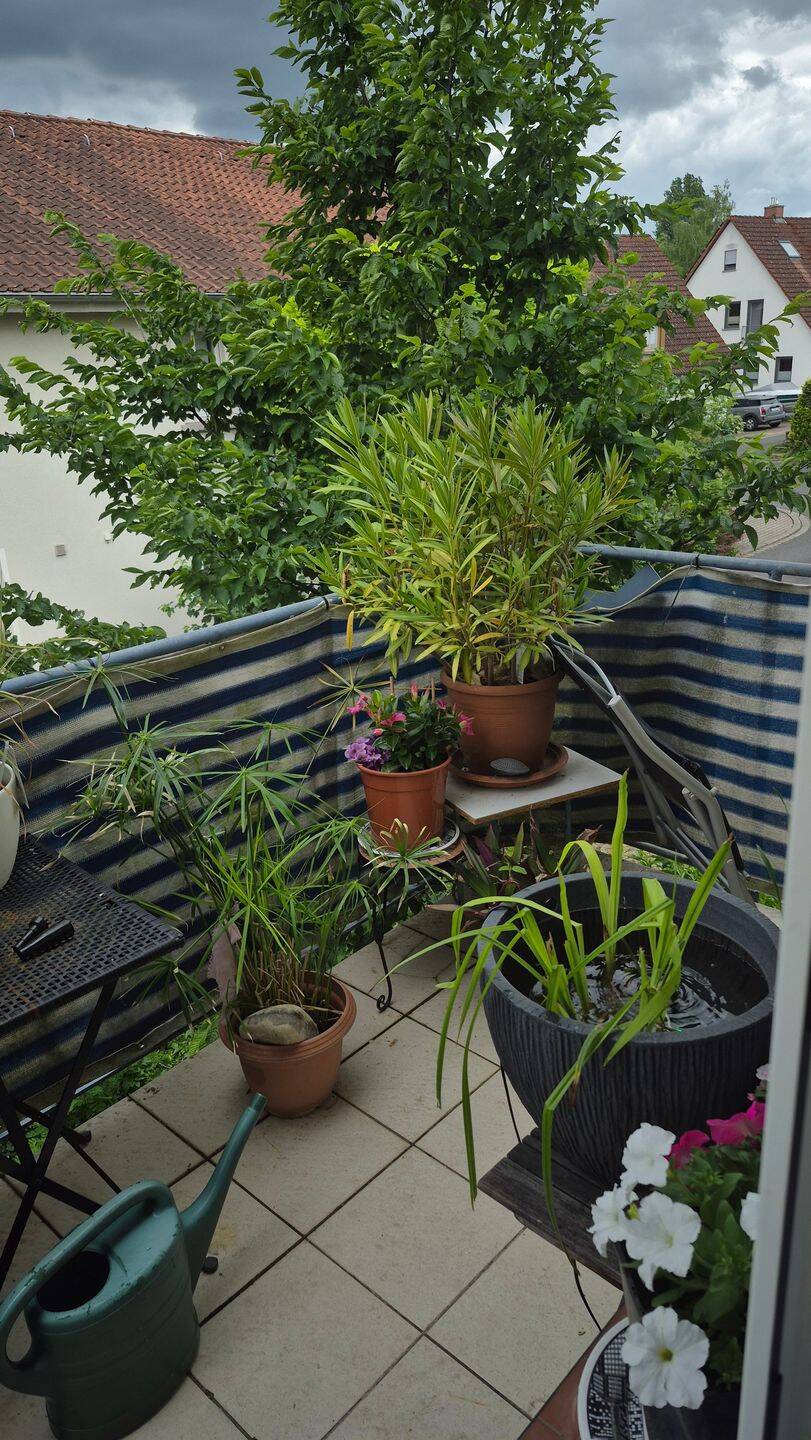 Gepflegte 3-Zimmer-Wohnung mit Balkon, Stellplatz & neuen Fenstern in Kitzingen – Kitzingen – Vorschaubild 6