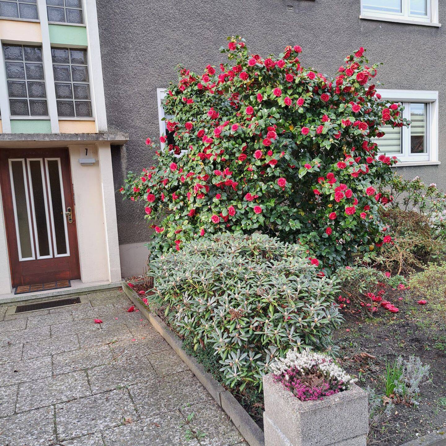Gemütliche Dachgeschosswohnung in Bottrop-Stadtwald – Bottrop – Vorschaubild 3