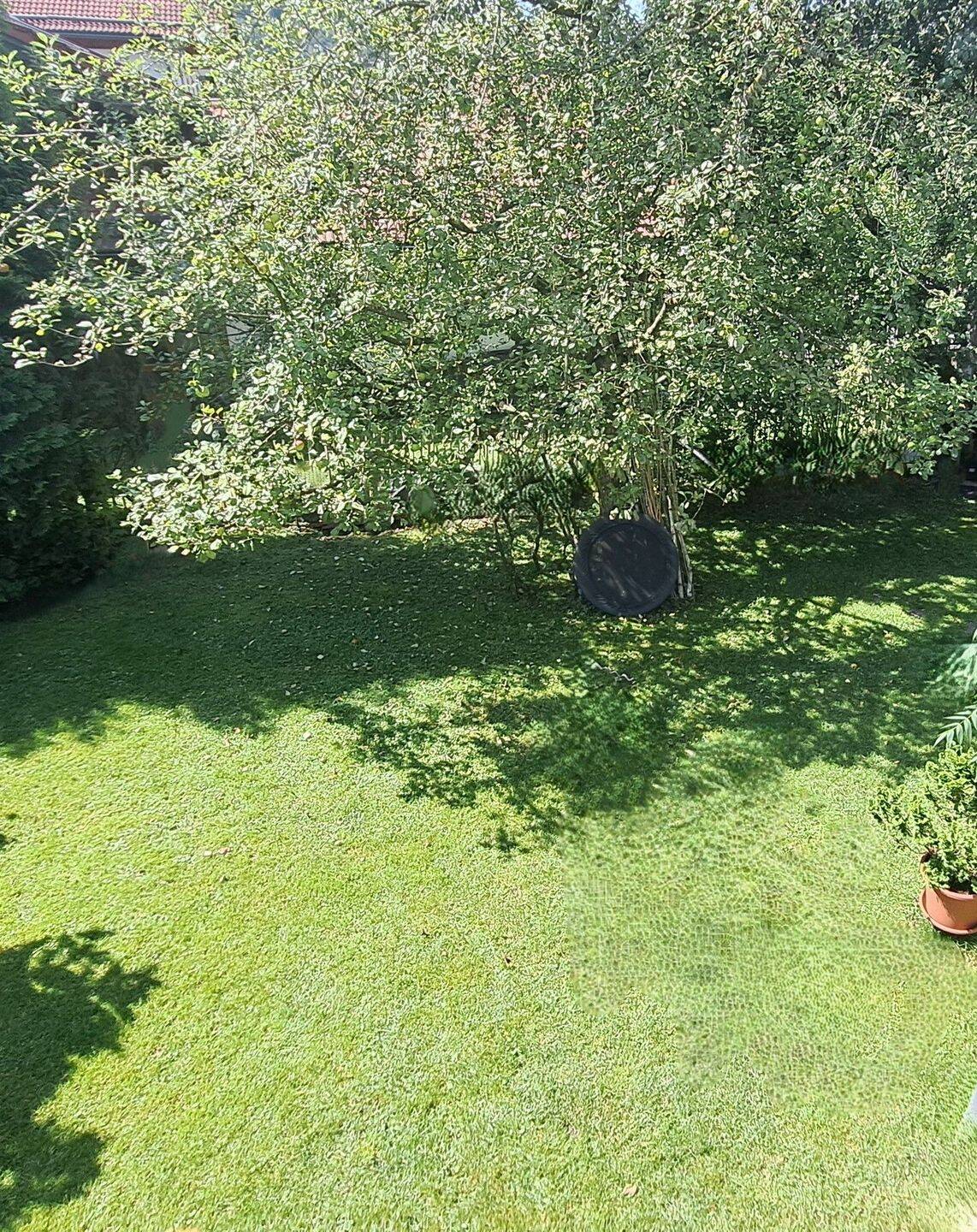 Architektenhaus in ruhiger Ortsrandlage in Waging am See - hell, großzügig und mit Einliegerwohnung – Waging am See – Vorschaubild 3