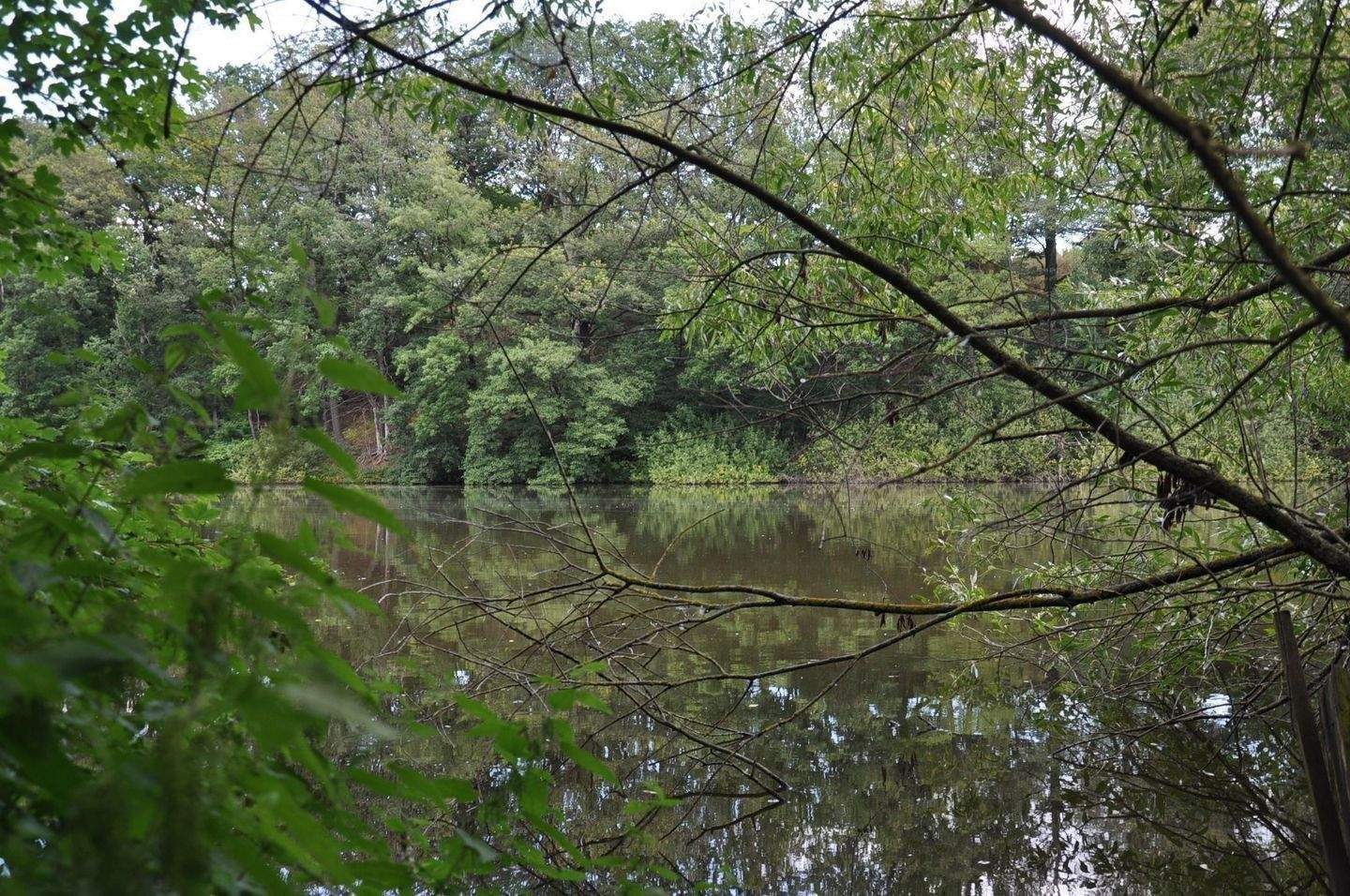 Einfamilienhaus in ruhiger Lage mit Seeblick – Geithain – Vorschaubild 7