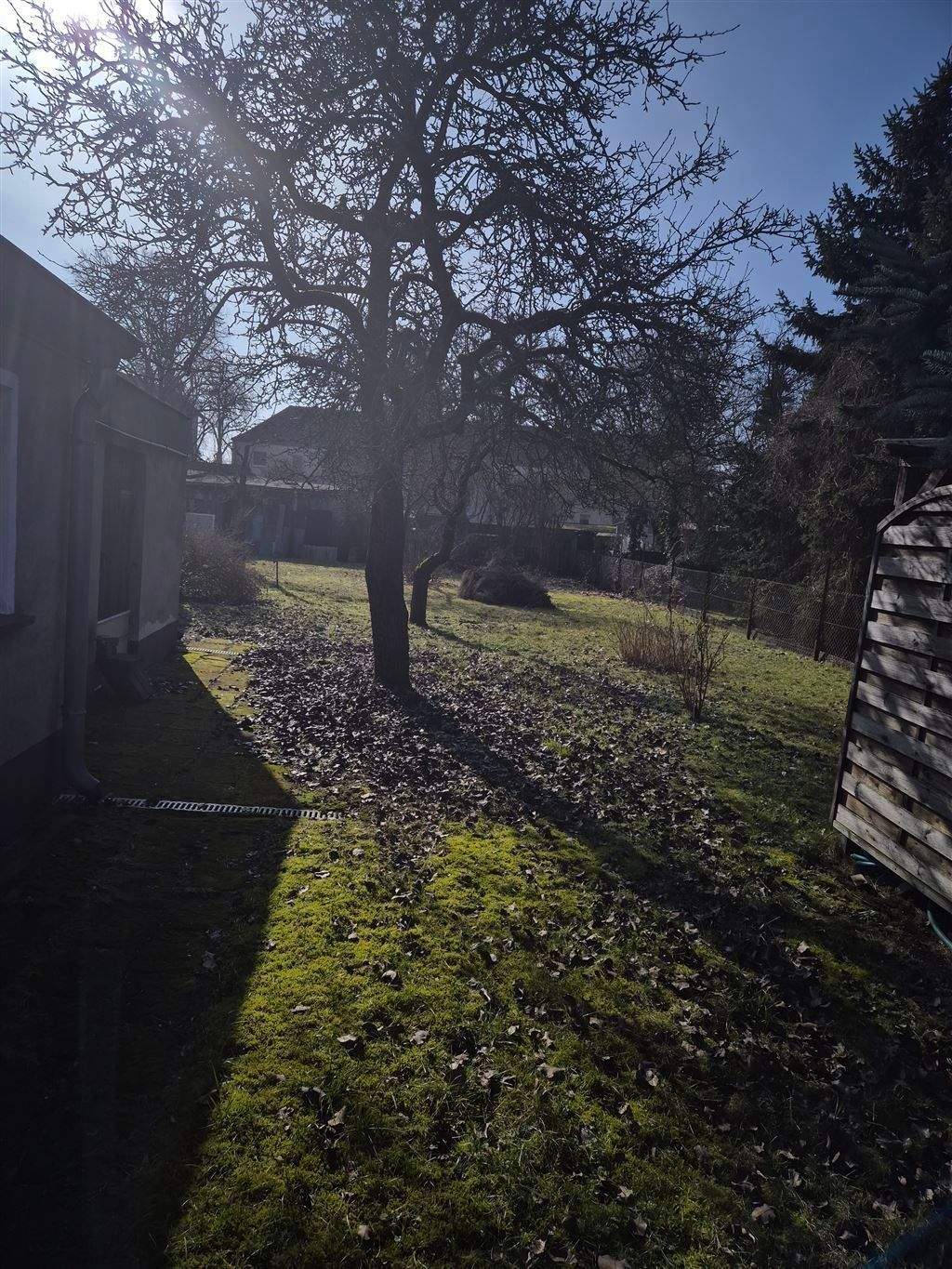 Bungalow auf großem Grundstück in Top Lage von Oranienburg – Oranienburg – Vorschaubild 5