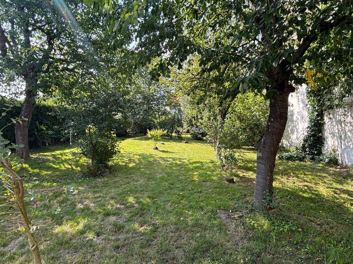 Gepflegtes freistehendes EFH mit herrlichem Garten in sonniger Lage von Birlenbach! – Birlenbach – Vorschaubild 5