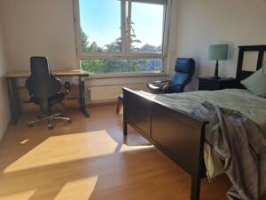 Möbliertes Zimmer Mainz - Wohnen auf Zeit ab 1 Monat – 55122 Mainz – Vorschaubild 3