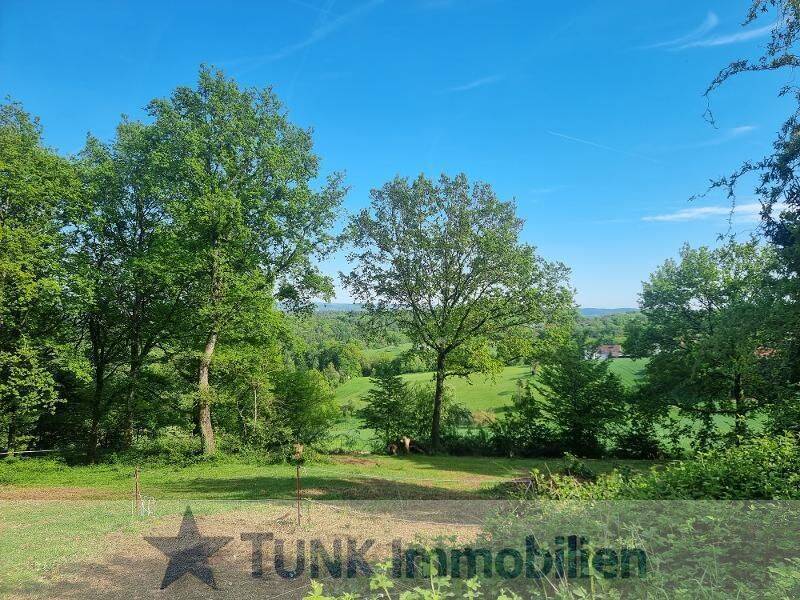 Am Feldrand mit Traumhaften Ausblick, Außen Pool, Sauna, EBK und Autostellplatz in Mömbris/Daxberg! – Mömbris – Vorschaubild 4
